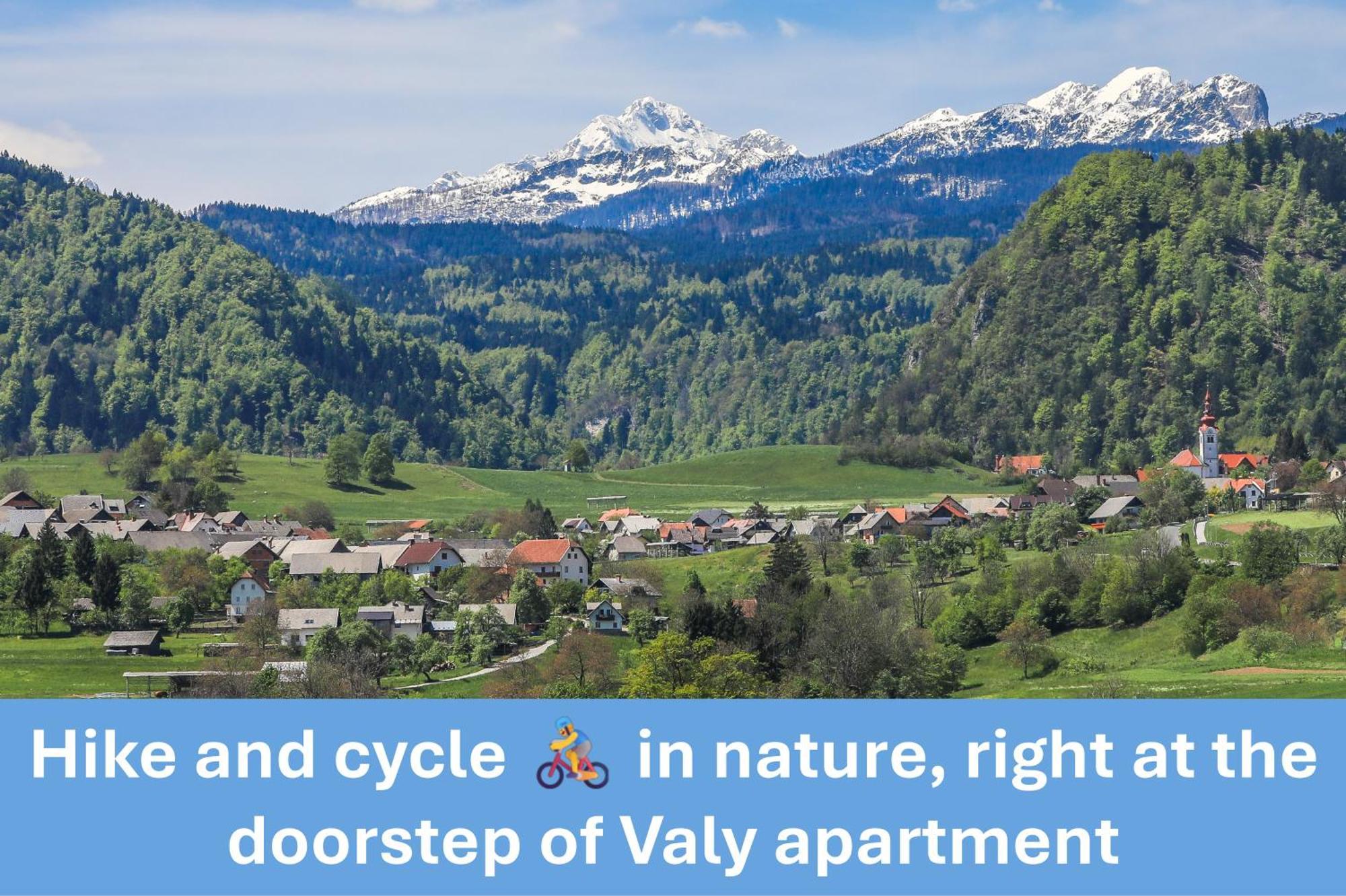 Apartment Valy - Free Bikes, Relaxing Terrace & Near ブレッド エクステリア 写真